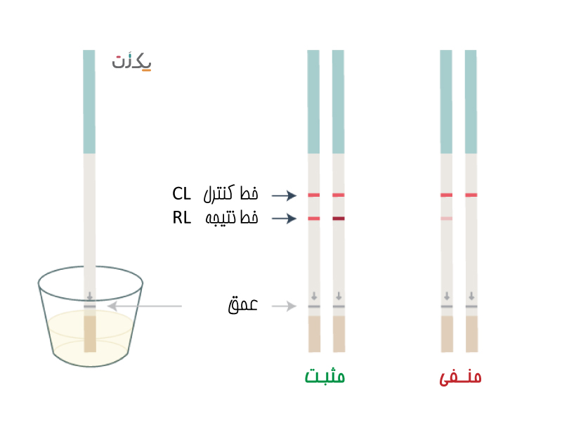 از کیت تخمک گذاری چگونه استفاده کنیم